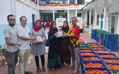 Petani menjerit Harga Tomat Murah, SMK hadir membantu Petani